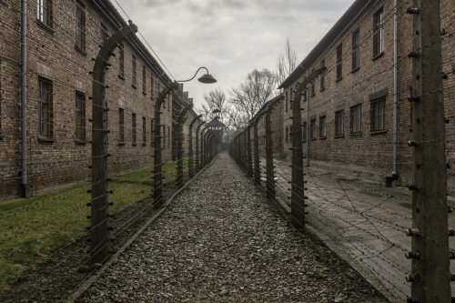 Mezinárodní den památky obětí Holocaustu