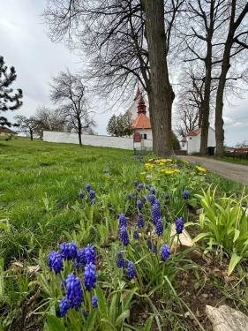 Toulky Třebíčskem