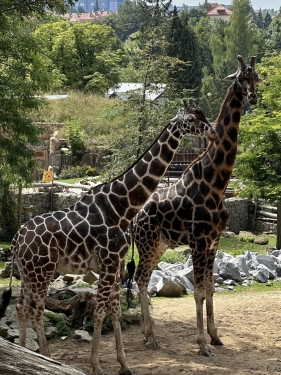ZOO Jihlava