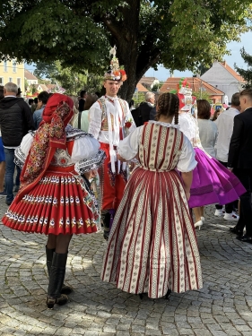 Svatováclavské hody a hodky Dolní Bojanovice