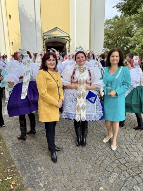 Hody v Dolních Bojanovicích