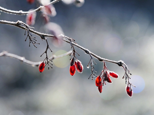 Čtyři písmena, která dávají smysl i na prahu nového roku