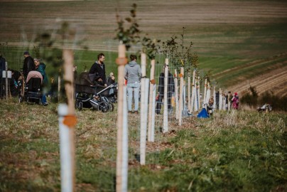 Nové aleje a sady