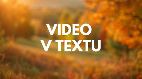 Z hřiště vyrostl les. A děti se sem zase vrátily.