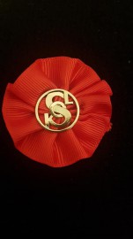 Památný den sokolstva u Tyršova domu Památný den sokolstva u Tyršova domu
