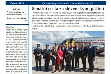 Zpravodaj o mojí práci v červnu 2020 Zpravodaj o mojí práci v červnu 2020