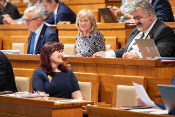 25. schůze Senátu 25. schůze Senátu